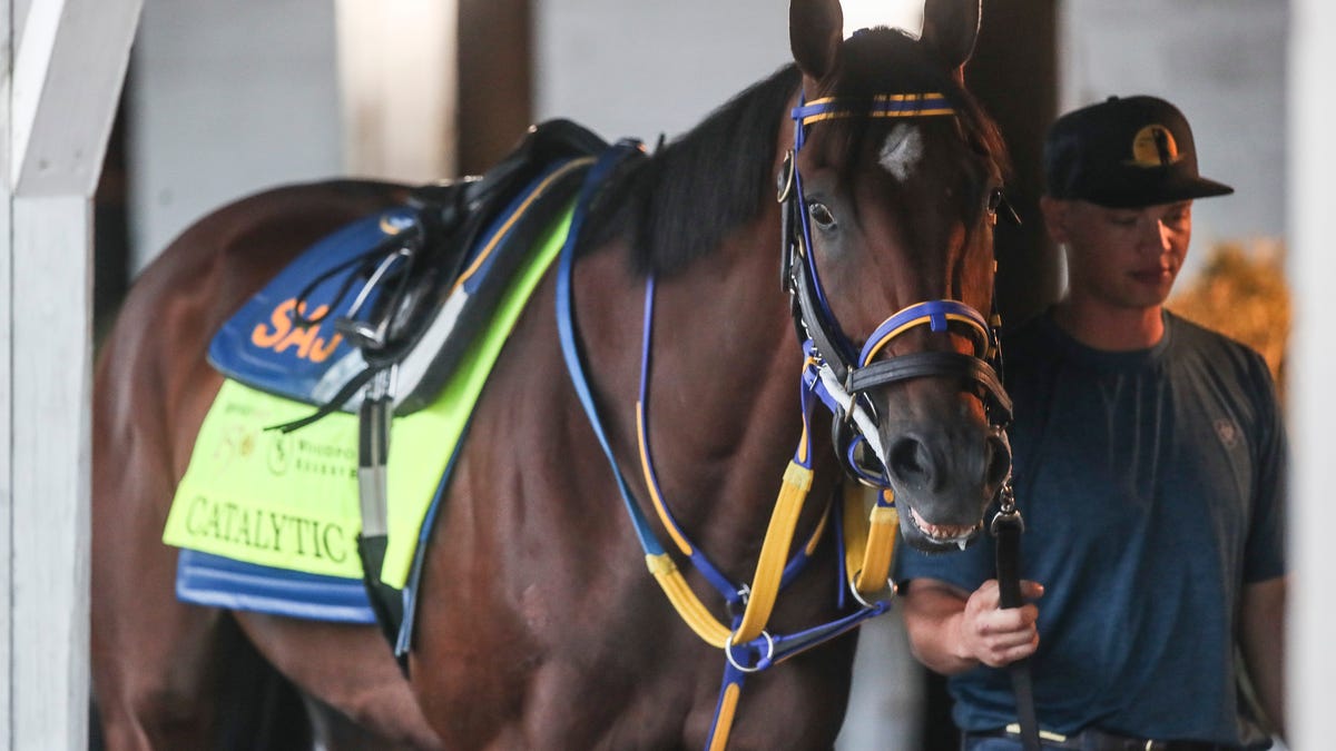 Kentucky Derby 2024: A look at the 14 horses with Florida ties