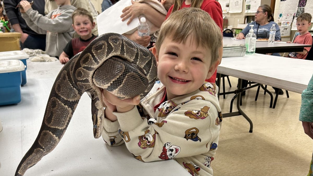 Annual Science and Math Night draws participation from Jonesville students