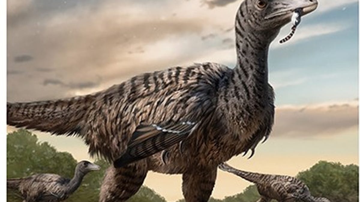Jejak kaki di Tiongkok menunjukkan megaraptor baru yang berkeliaran bersama dinosaurus