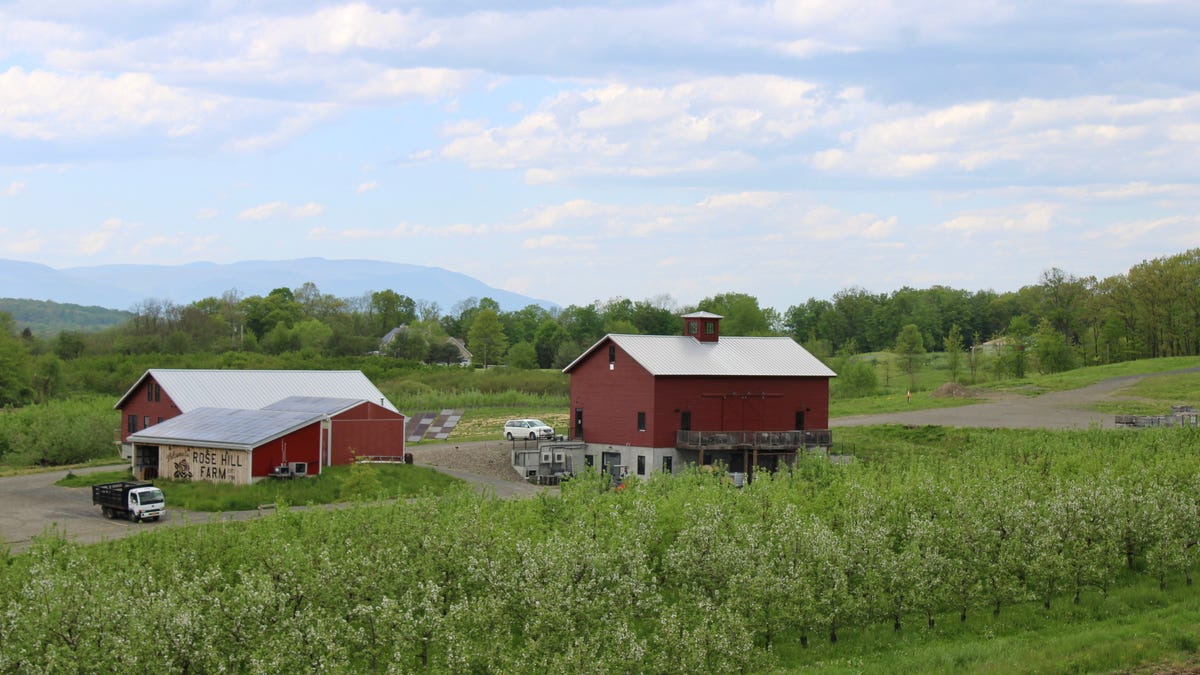 Rose Hill Farm in Red Hook on May 8, 2024.