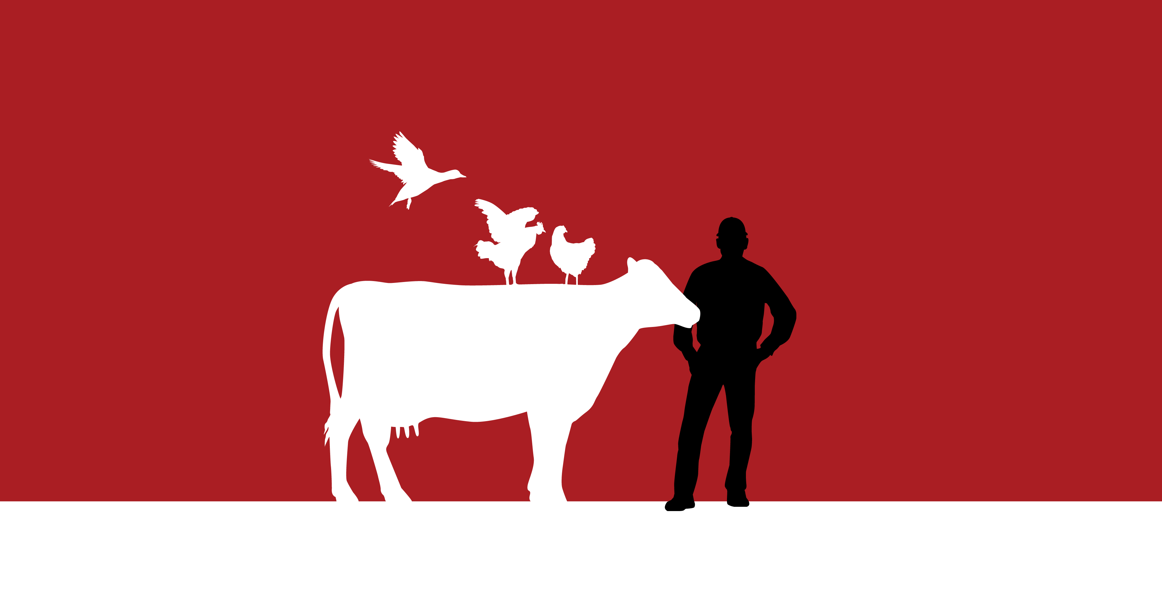 Americans face new fears over possible impact of bird flu on dairy industry.