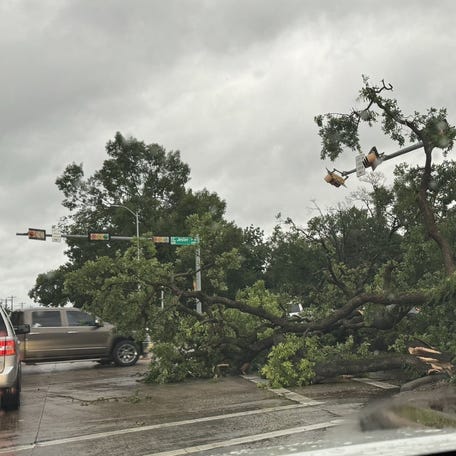 A severe storm system swept through Houston, Texas on Thursday causing heavy damage, including fallen trees.