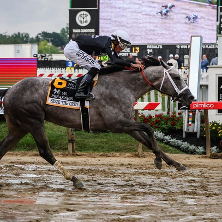 Jockey Jaime Torres riding Seize the Grey wins the 149th running of the Preakness Stakes at Pimlico Race Course in Baltimore.