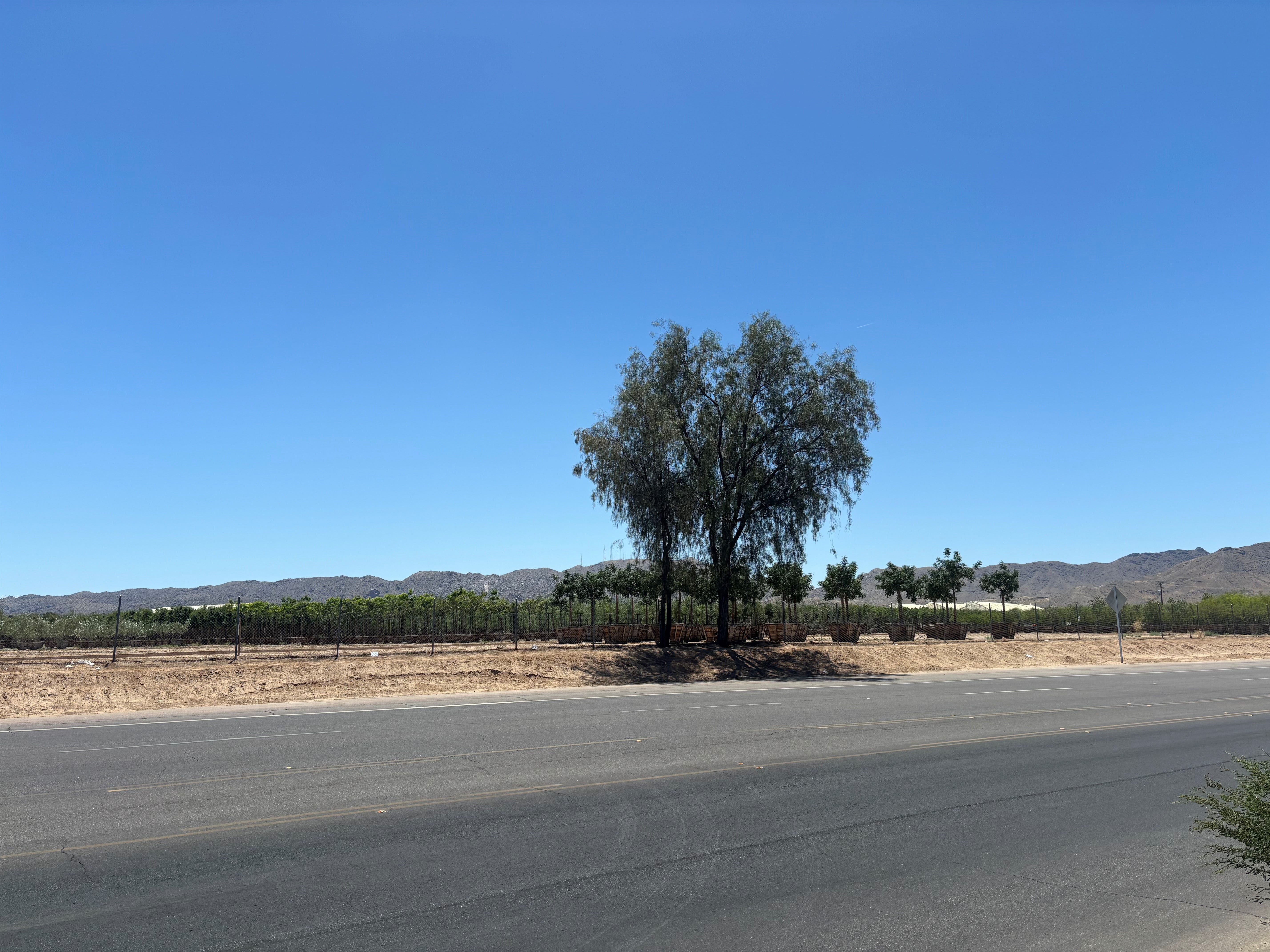 https://www.gannett-cdn.com/authoring/authoring-images/2024/05/28/PPHX/73885187007-baseline-and-19th-avenue.jpg?auto=webp&crop=5711,3213,x0,y535&format=pjpg&width=1200