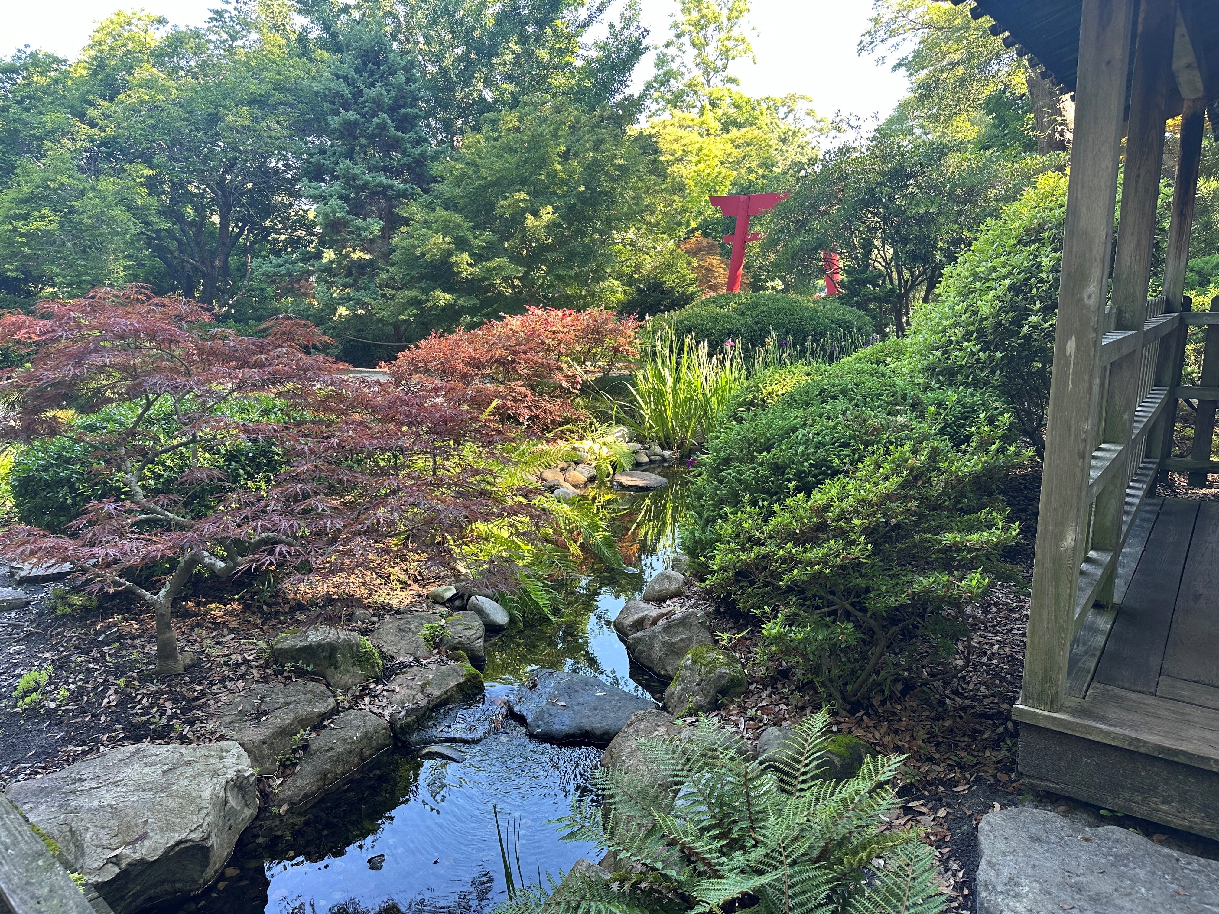 The Arboretum's Japanese Garden is just one of the themed gardens that the Arboretum offers. The garden features a flowing stream and a tea house where Arboretum and Cooperative Extension Director Lloyd Singleton said visitors will come and meditate and relax.