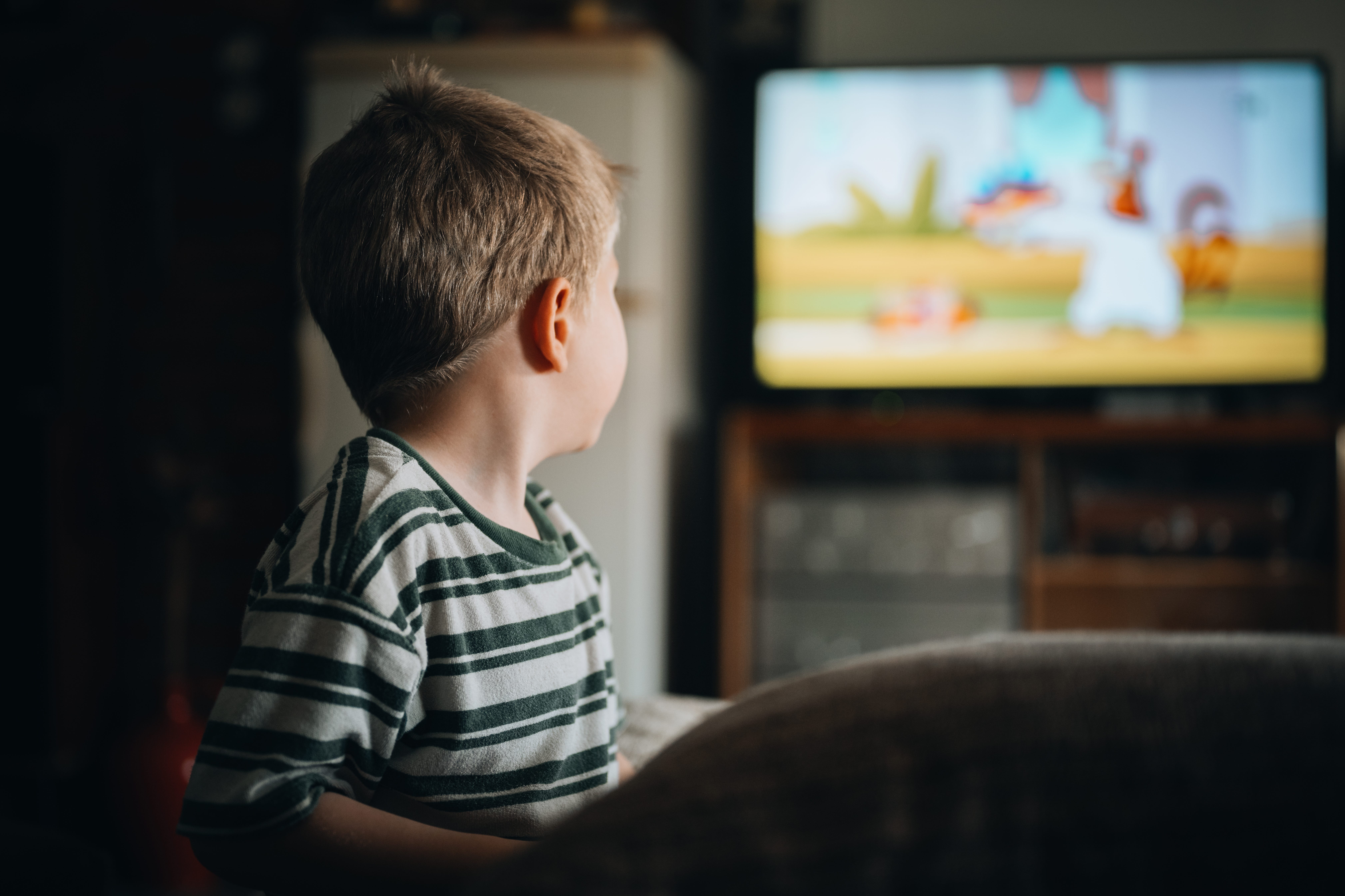 Rear view of a young boy sitting on sofa watching TV
