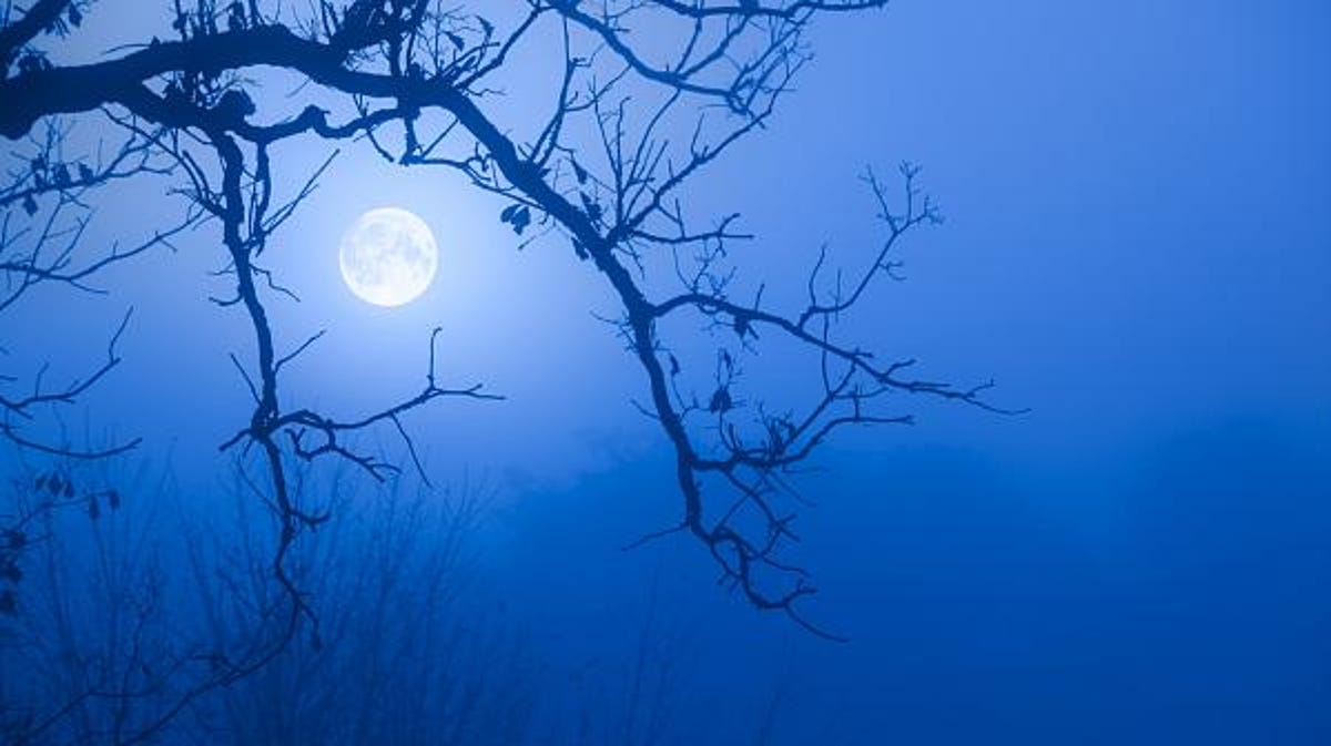 When can you see the rare super blue moon in August? When can you see the rare super blue moon in August?