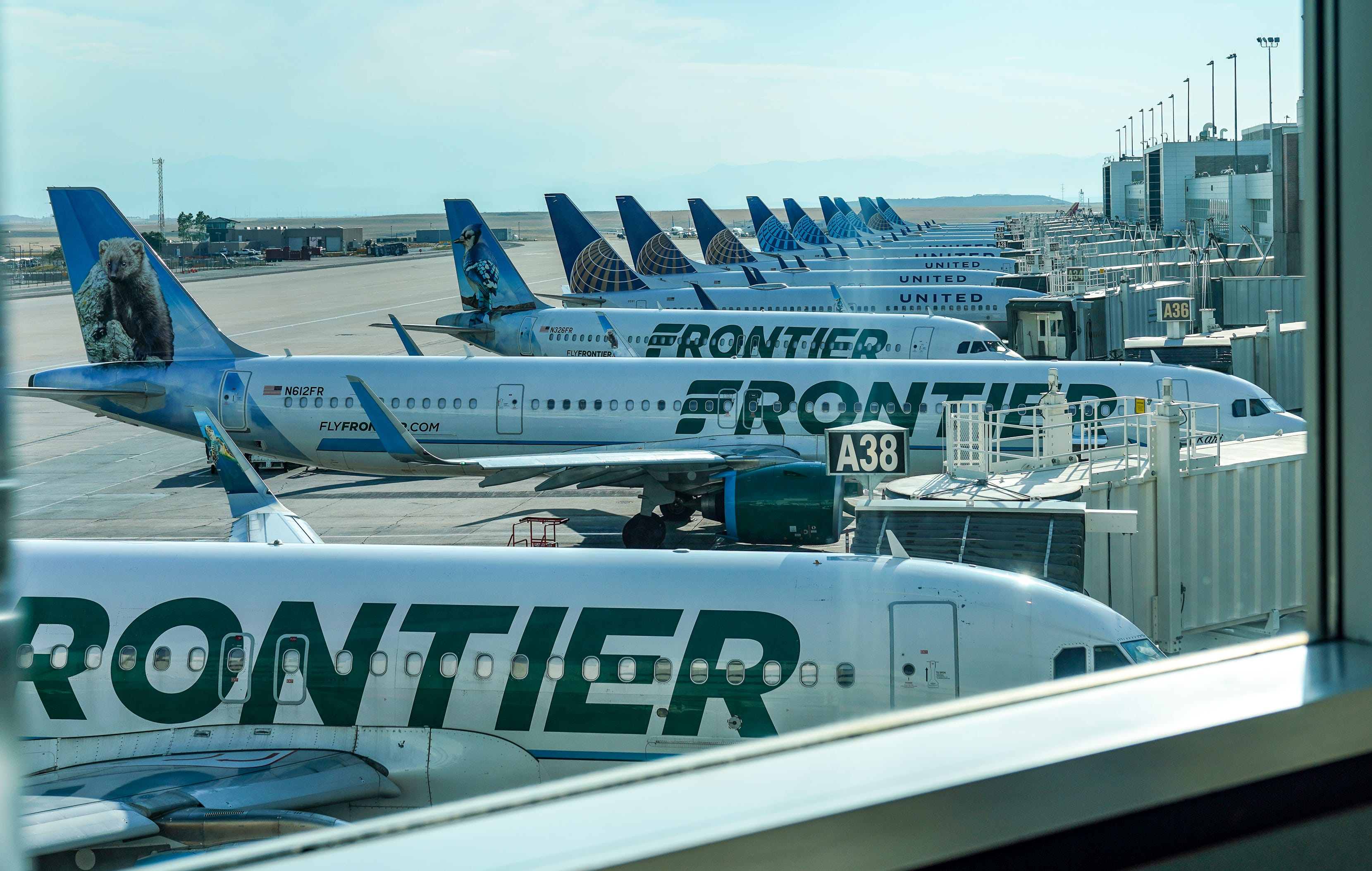 Frontier and United airlines planes lined up at Denver International Airport.