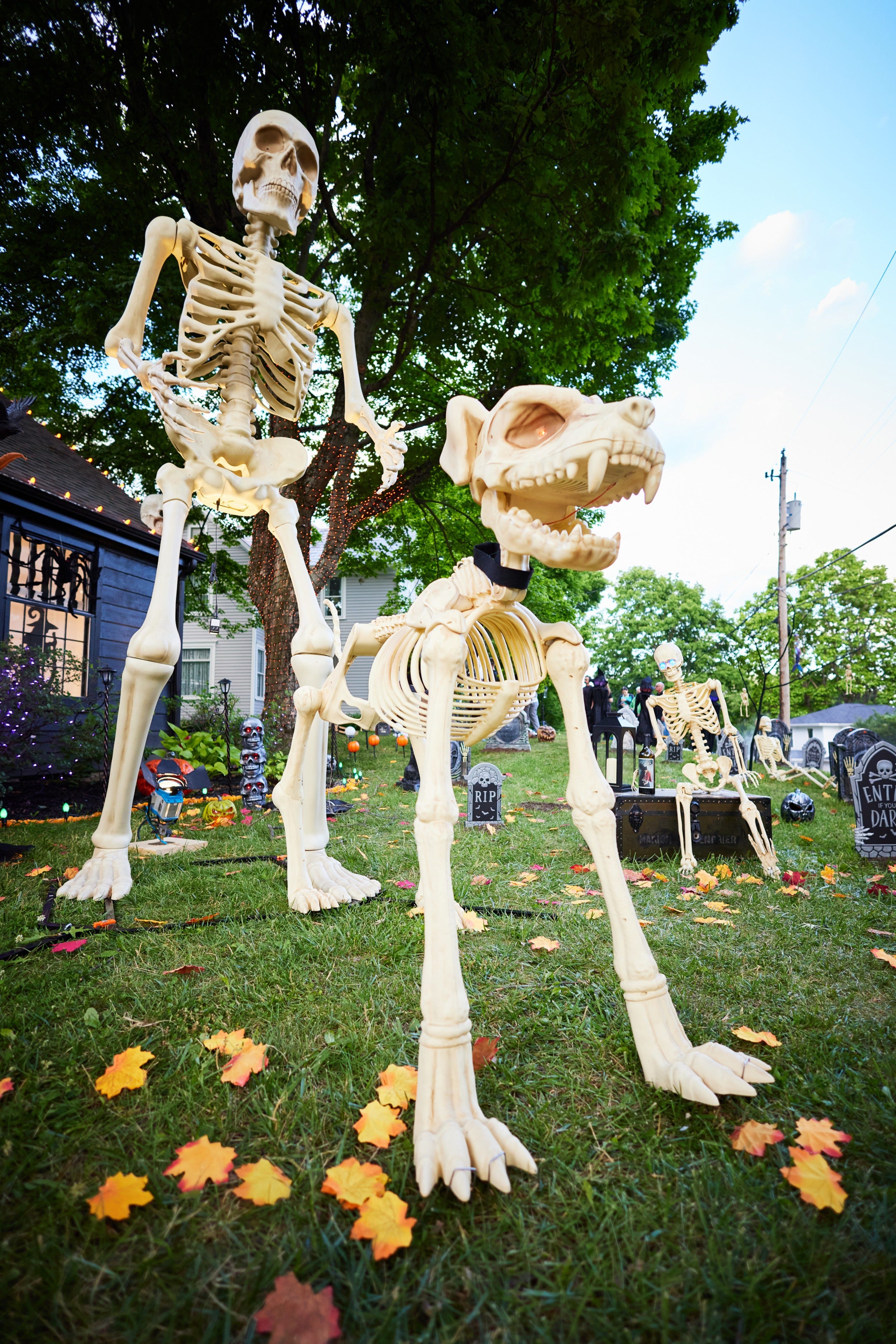 Big Lots has a 10' LED posable skeleton for sale.