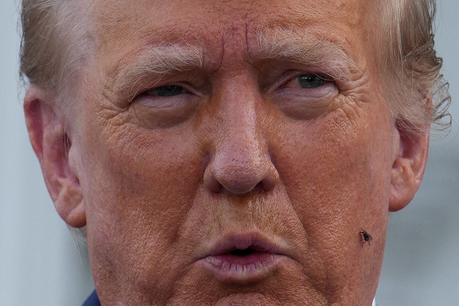 A fly sits on the face of Republican presidential nominee and former U.S. President Donald Trump as he speaks during a press conference at Trump National Golf Club, in Bedminster, New Jersey, on Thursday, August 15, 2024.
