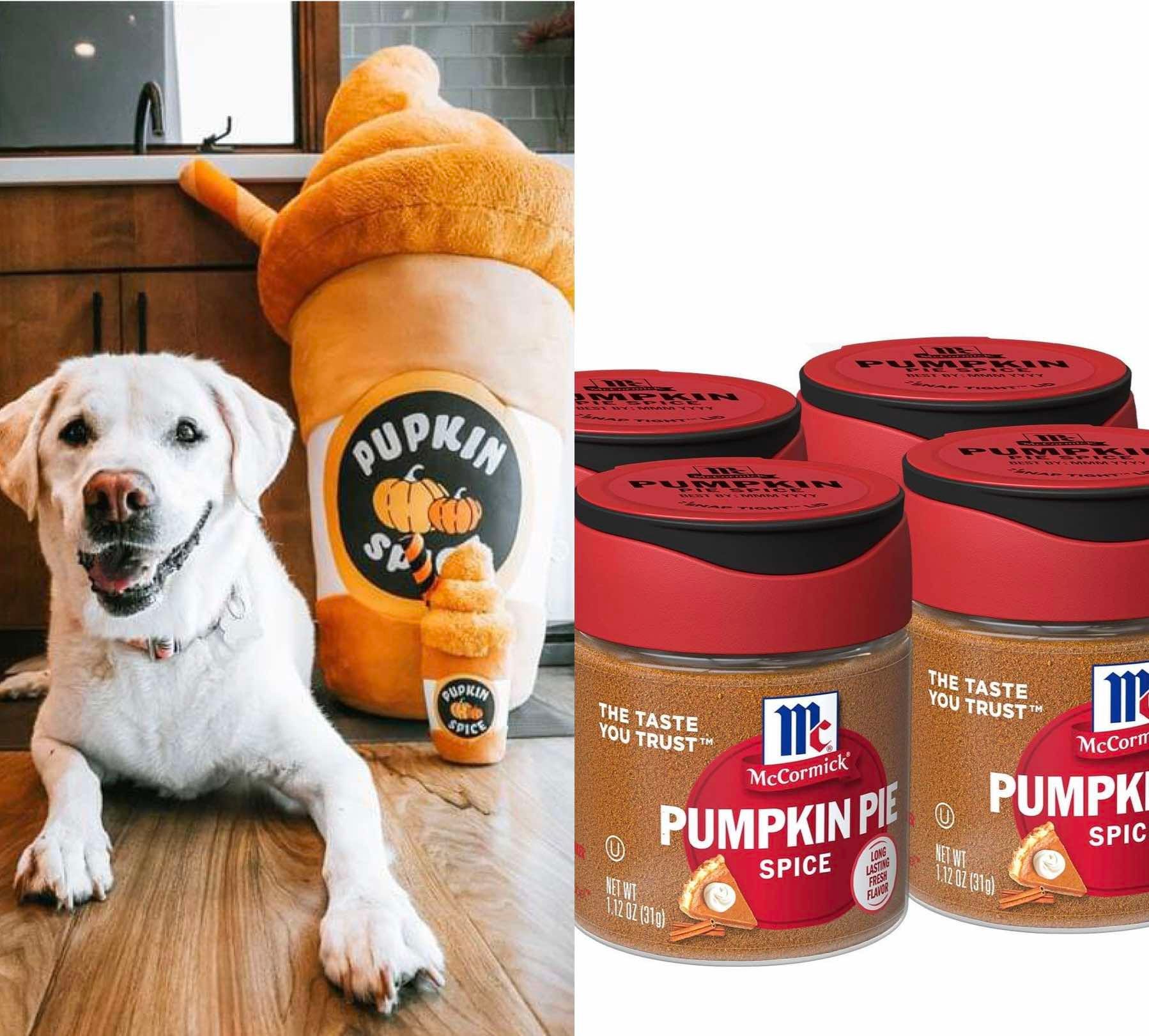The pumpkin product harvest continues. Here's some of the newest items for those who love everything pumpkin.