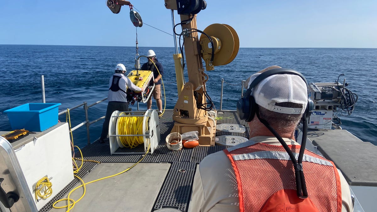 Scientists just discovered cold, dark sinkholes in Lake Michigan. What’s living in them? Scientists just discovered cold, dark sinkholes in Lake Michigan. What’s living in them?