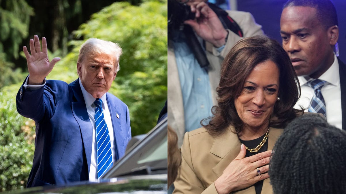 Democrats and analysts say Virginia is not a battleground, Trump’s campaign soldiers on Democrats and analysts say Virginia is not a battleground, Trump’s campaign soldiers on