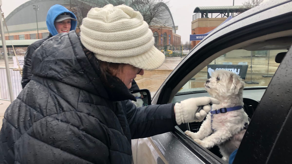 At ‘crisis level’ capacity, Wisconsin Humane Society drops dog adoption fees temporarily At ‘crisis level’ capacity, Wisconsin Humane Society drops dog adoption fees temporarily
