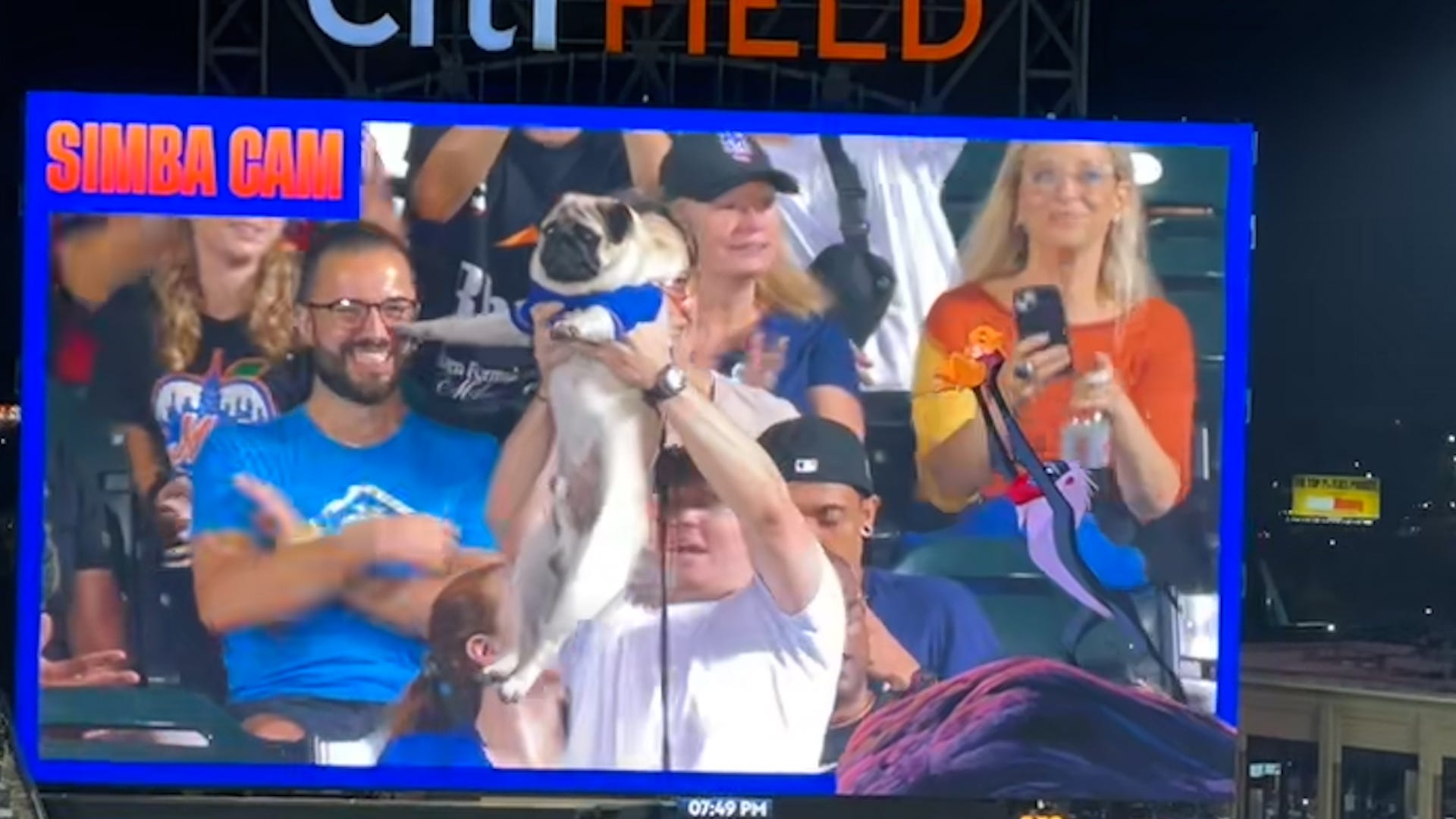 Furry fans take part in adorable 'Lion King' tradition at 'Bark in the Park'