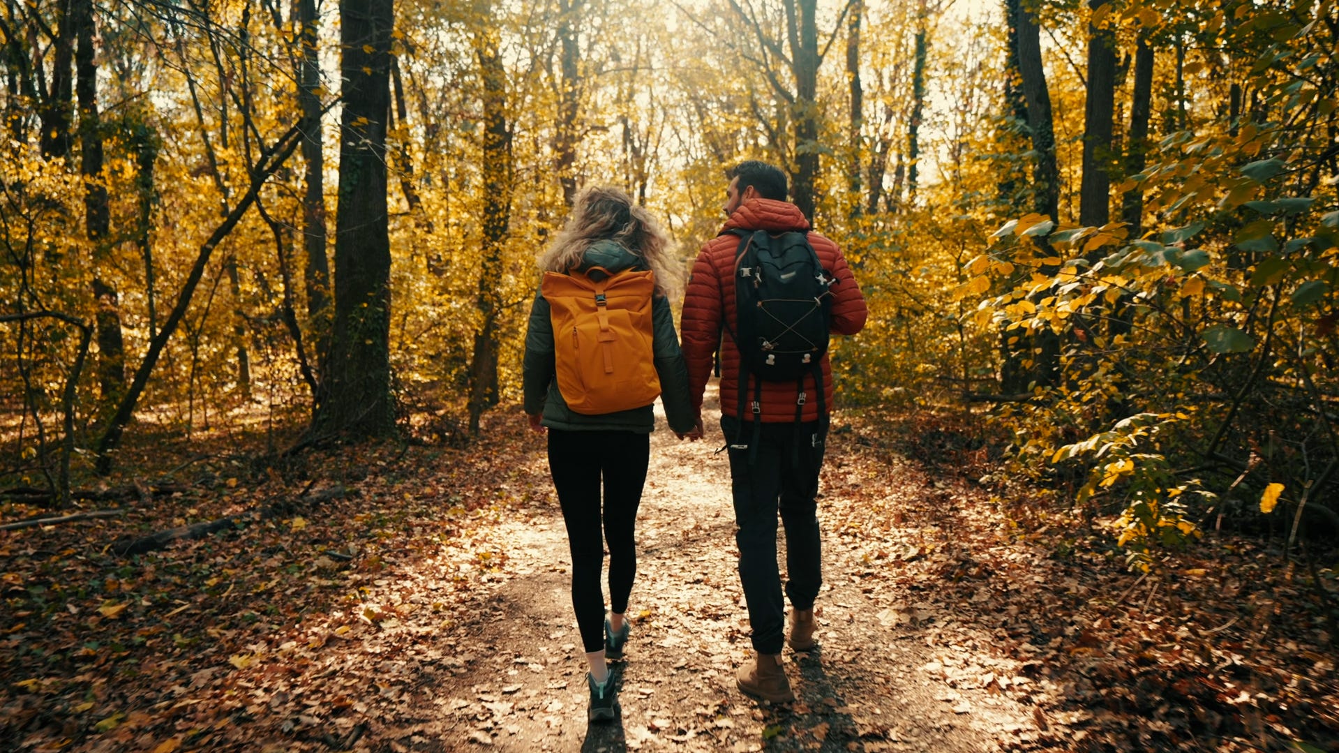 When is the first day of fall? Old Farmer's Almanac 2024 Fall Forecast