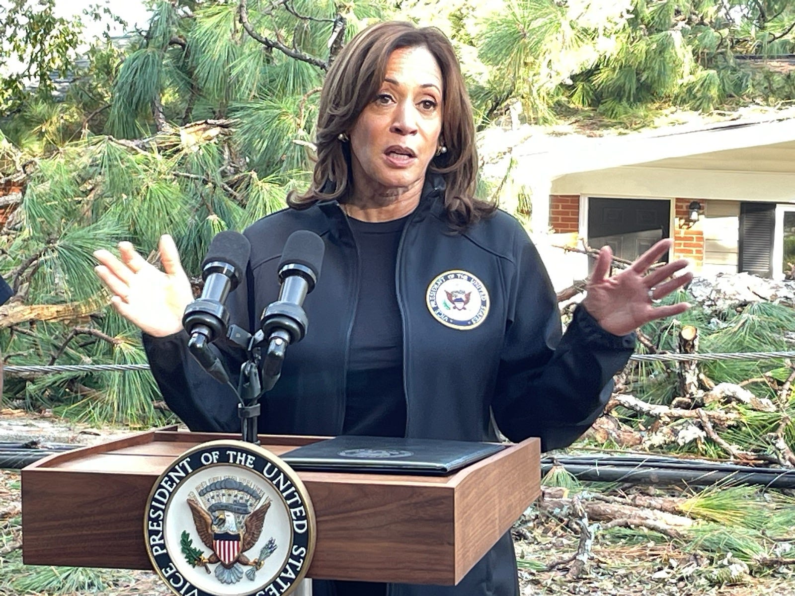 Vice President Kamala Harris speaks after touring damage caused by Hurricane Helene in Augusta, Ga., on Oct. 2, 2024.