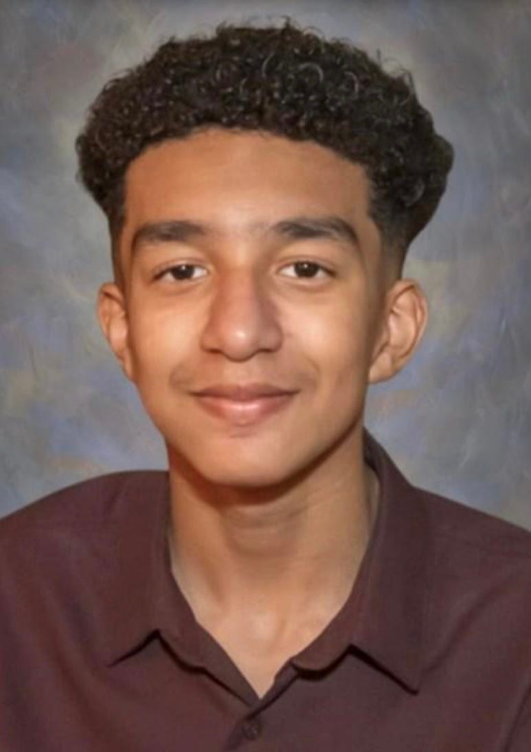 Mother sues tech company after &lsquo;Game of Thrones&rsquo; AI chatbot allegedly drove son to suicide