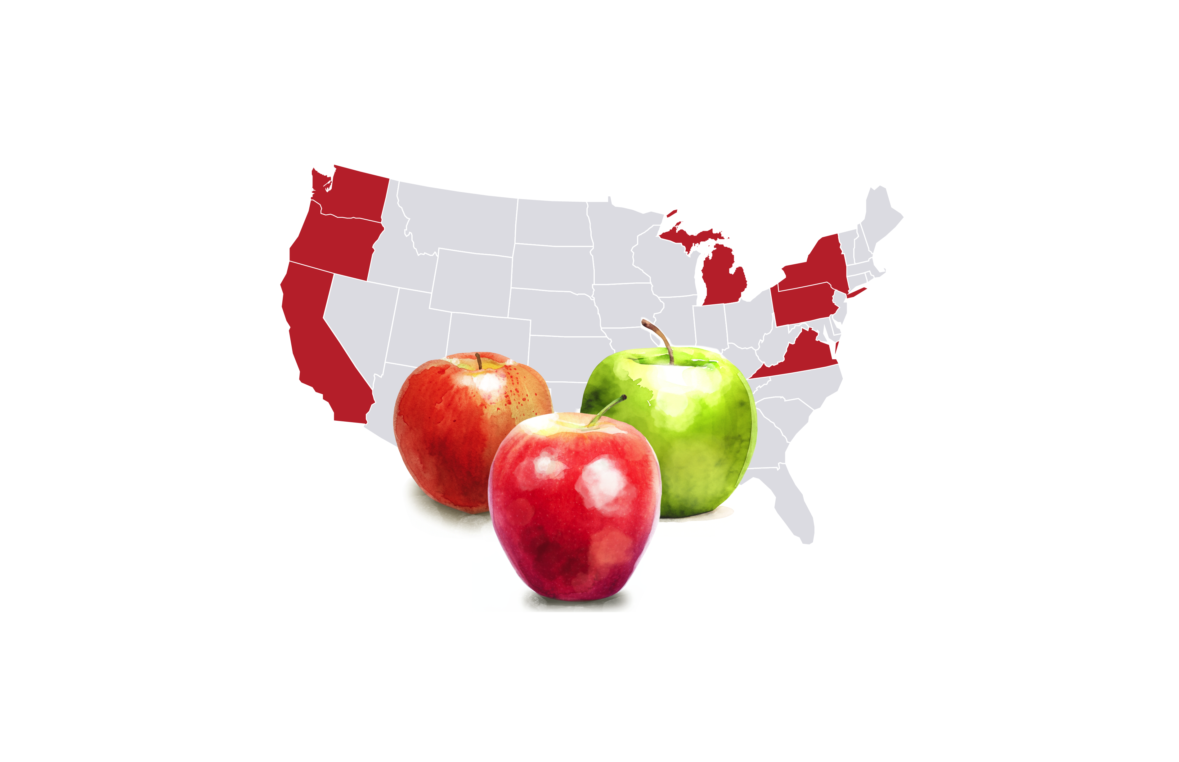 Washington, New York, Michigan, Pennsylvania, California, Virginia and Oregon are the top apple producing states in the U.S.