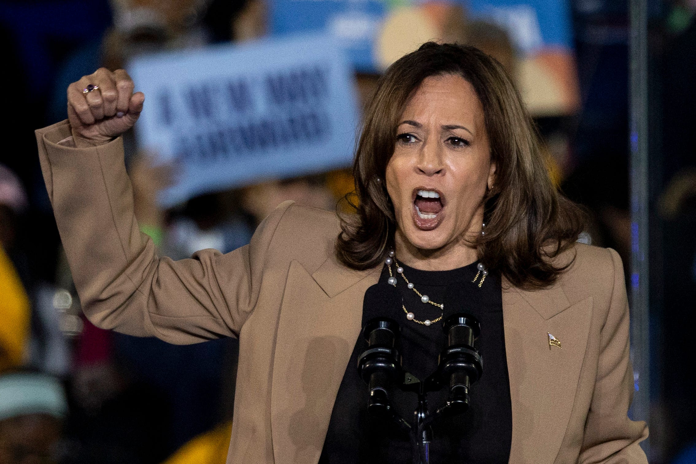 Vice President and Democratic presidential candidate Kamala Harris gestures as she speaks at a campaign event at James R Hallford Stadium in Clarkston, Ga., on Oct. 24, 2024.