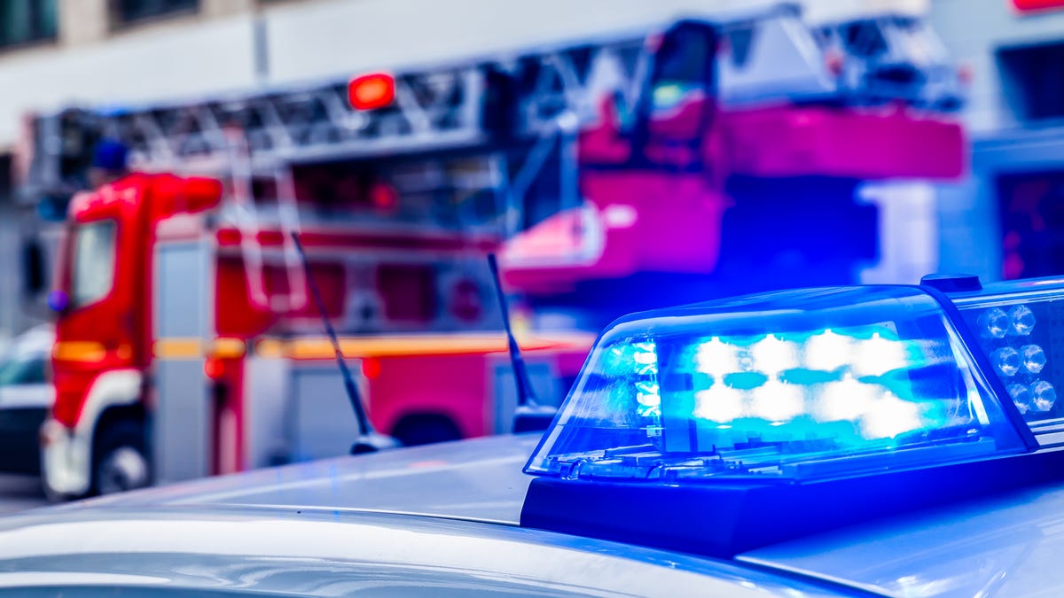 579 animals at exotic pet shop killed in fire at Dallas shopping center