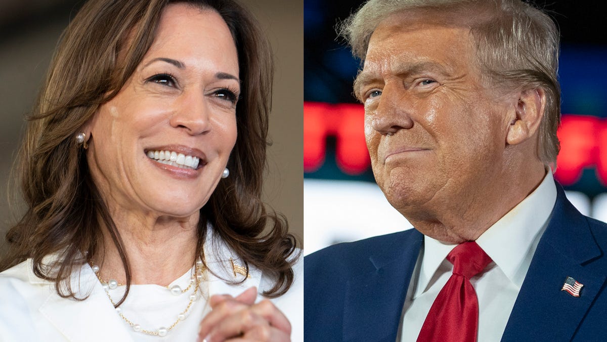 Image representing Iowa Poll Shows That Kamala Harris Is Leading.