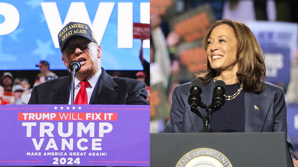 Presidential election polls 2024: Latest surveys on Harris vs ...
