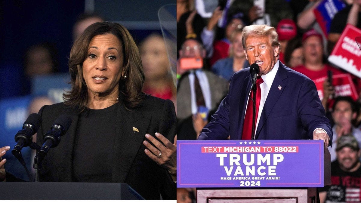 Could Kamala Harris call for a recount in Wisconsin? Here’s what state law says Could Kamala Harris call for a recount in Wisconsin? Here’s what state law says