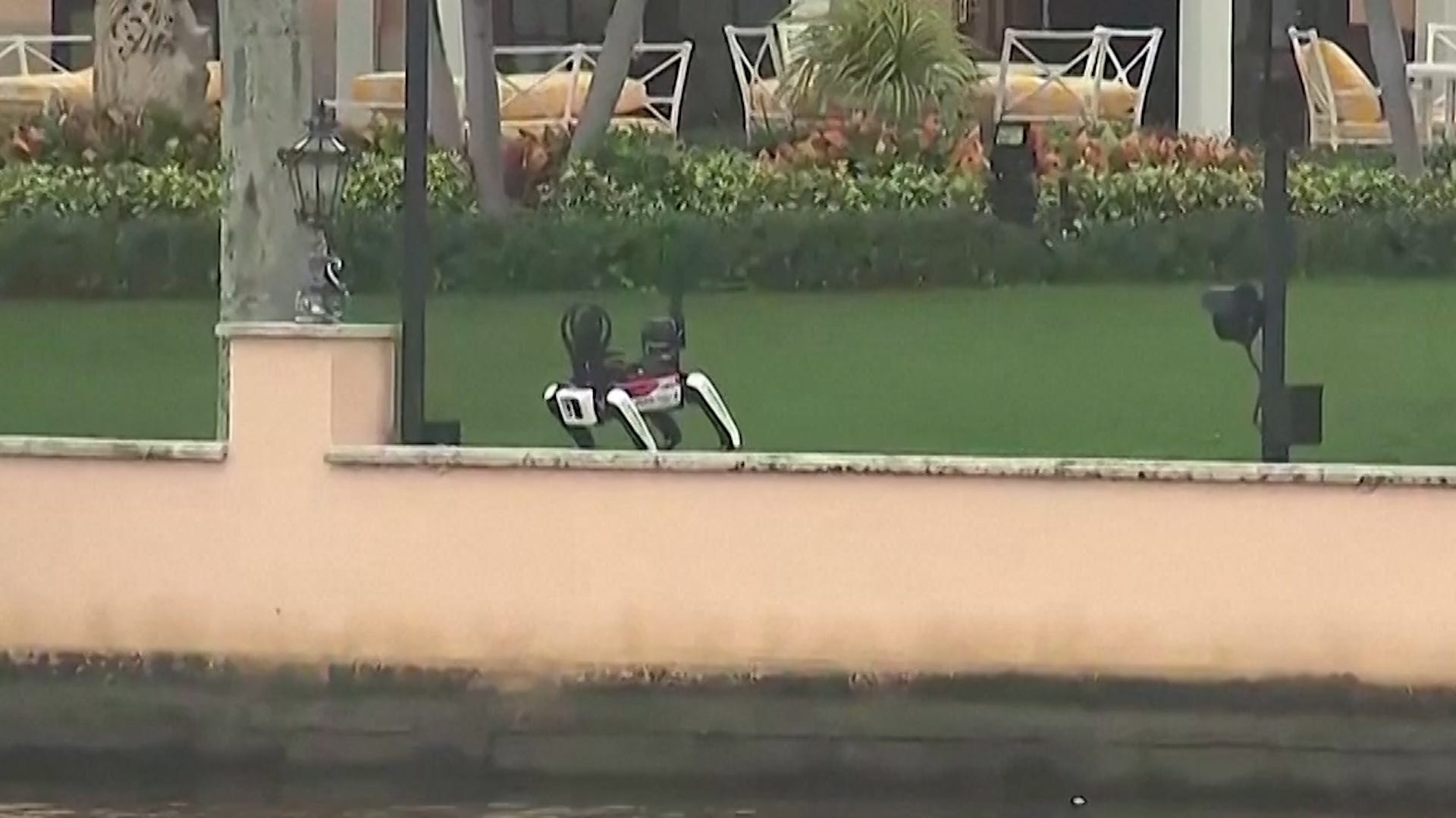 A robotic dog seen patrolling President-elect Donald Trump's Mar-a-Lago estate in Palm Beach, Florida.