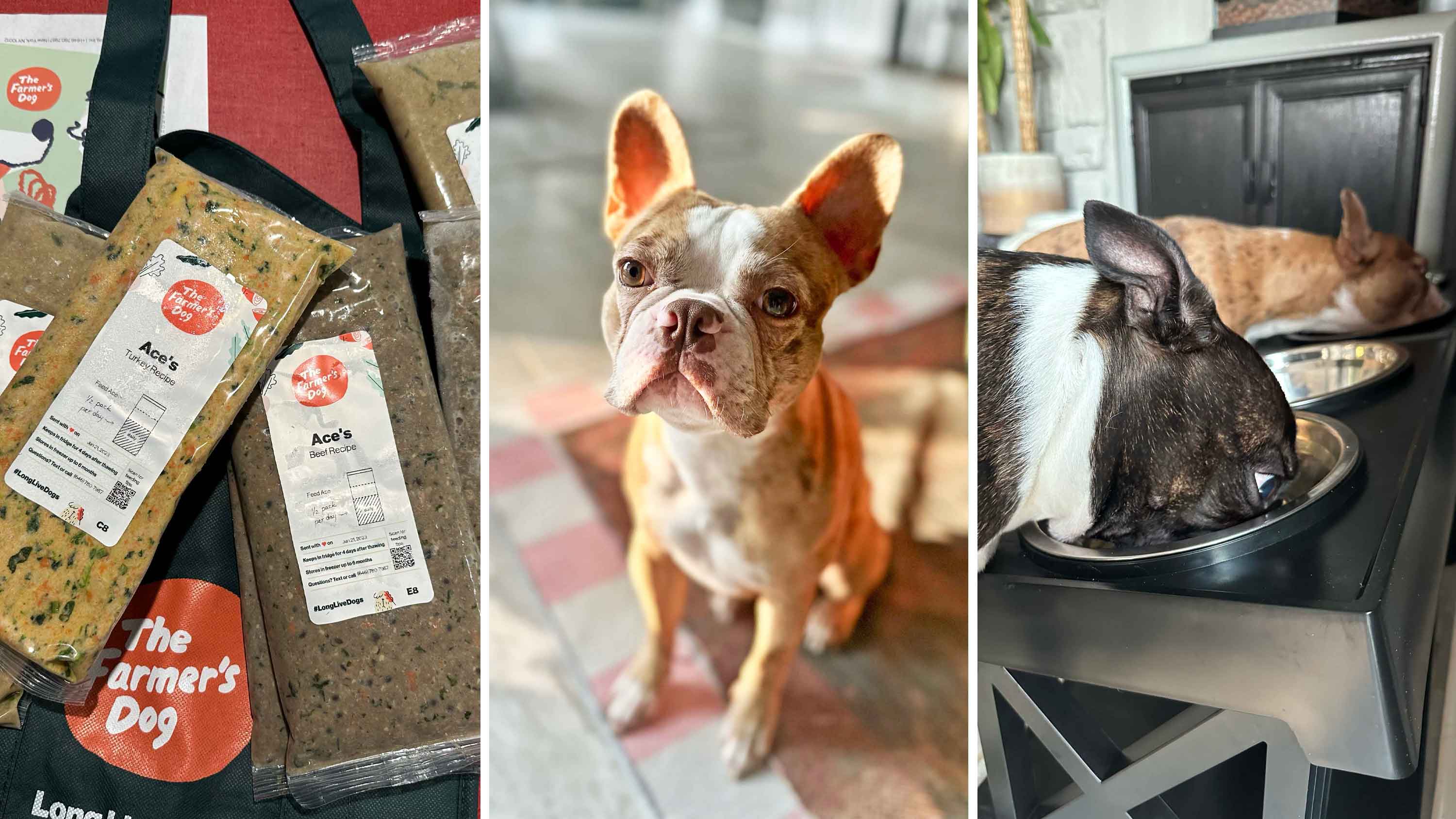 50% off The Farmer’s Dog personalized dog food