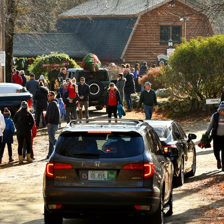 Sleighbell Christmas Tree Farm & Barn in Sutton is a popular place on Black Friday.