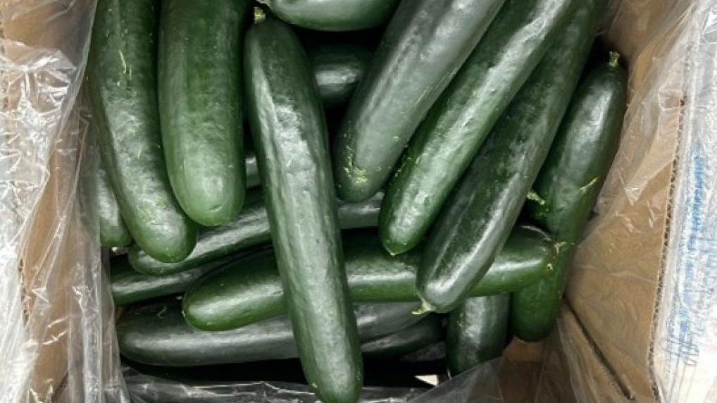 Which cucumber products have been recalled and where were they sold? See full list