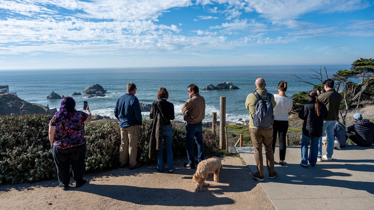 Onlookers at Lands End after a tsunami warning in San Francisco, California, US, on Thursday, Dec. 5, 2024. A magnitude-7.0 earthquake off the coast of Northern California triggered a tsunami warnings across a swath of the US West Coast, but it passed less than an hour later.