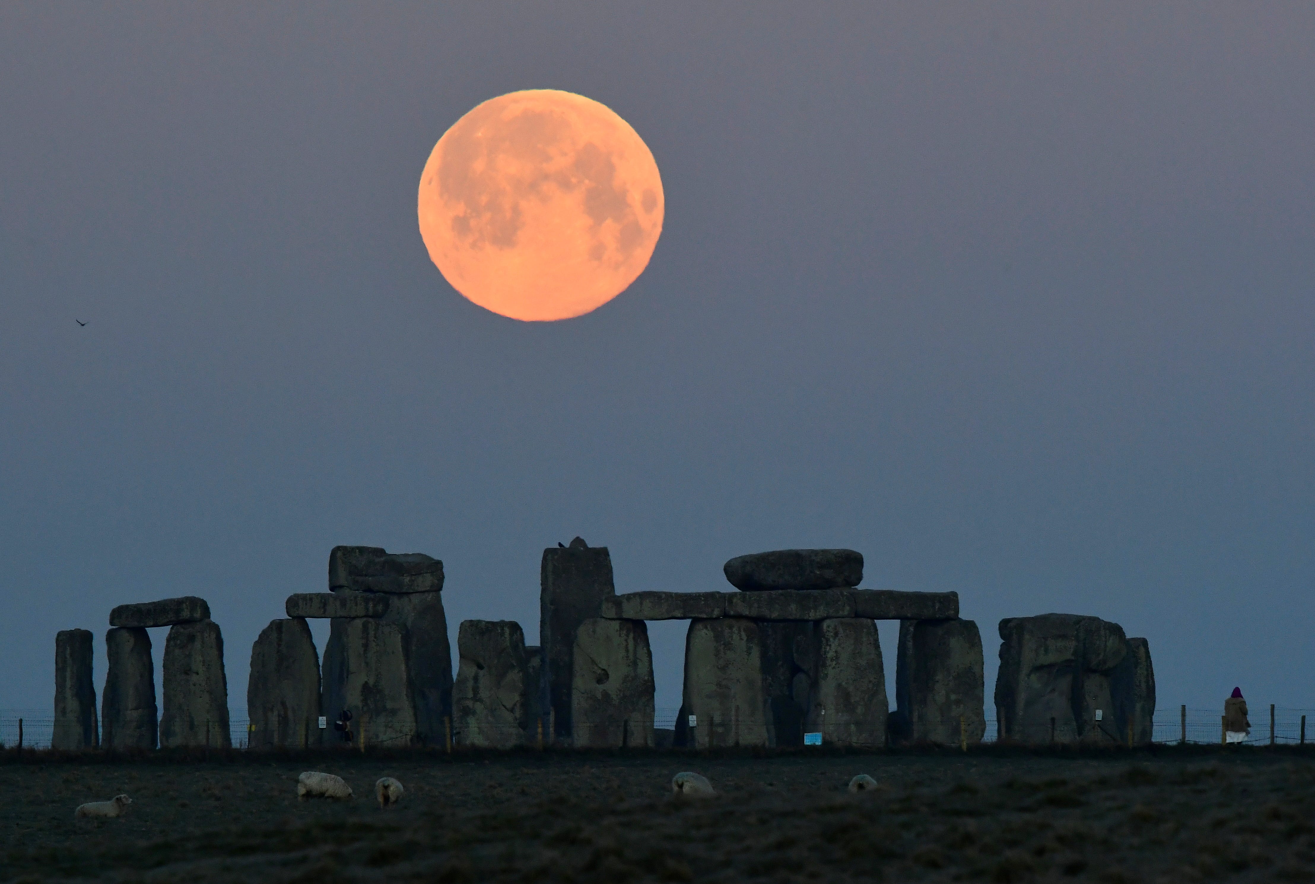 A person watches as the full moon, known as the "Super Pink Moon", sets behind Stonehenge stone circle near Amesbury, Britain, April 27, 2021.