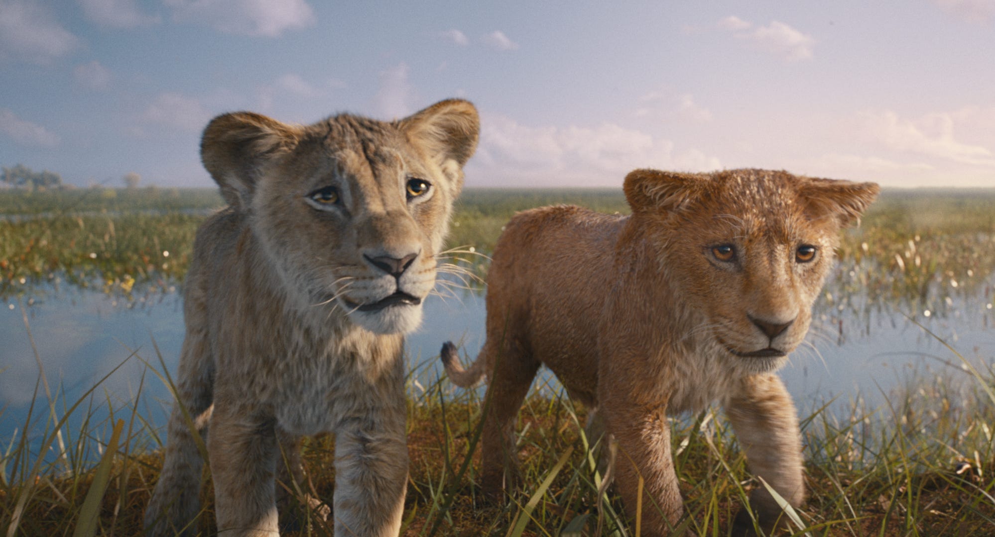 As cubs, Taka (voiced by Theo Somolu, left) and Mufasa (Braelyn Rankins) become as close as brothers in "Mufasa: The Lion King."