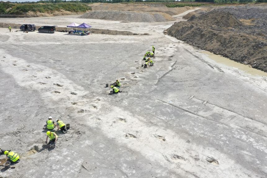 Researchers from the Universities of Oxford and Birmingham have uncovered a huge expanse of quarry floor filled with hundreds of different dinosaur footprints, creating multiple enormous trackways.