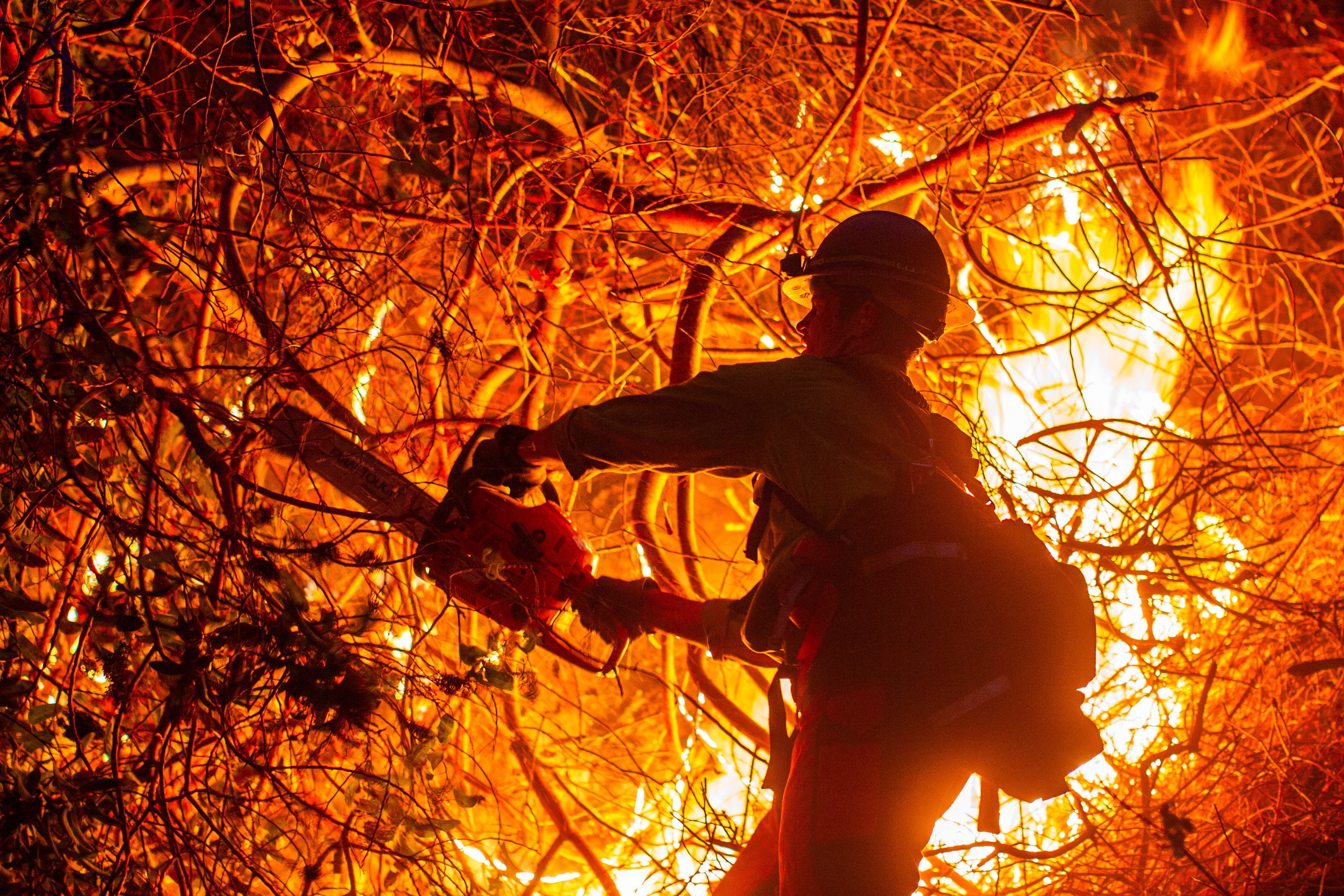 A firefighter cuts tree branches as the Palisades Fire, one of several simultaneous blazes that devoured structures across Los Angeles County, burns in Mandeville Canyon.