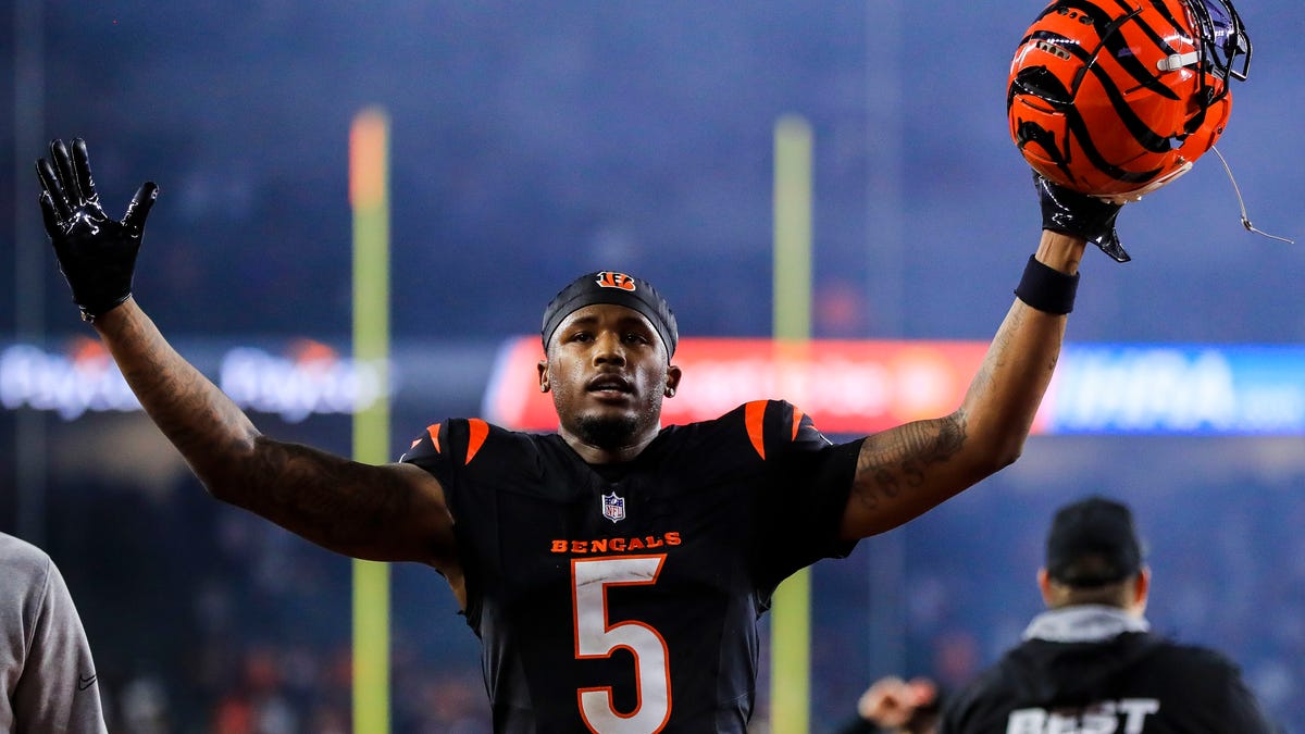 Tee Higgins ranks as ESPN’s top NFL free agent for 2025 Tee Higgins ranks as ESPN’s top NFL free agent for 2025