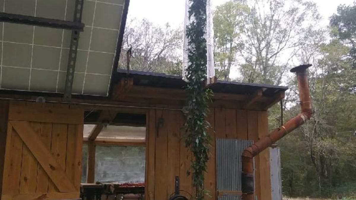 Did a Mississippi man grow the world’s tallest pepper plant? Cayenne might break record Did a Mississippi man grow the world’s tallest pepper plant? Cayenne might break record