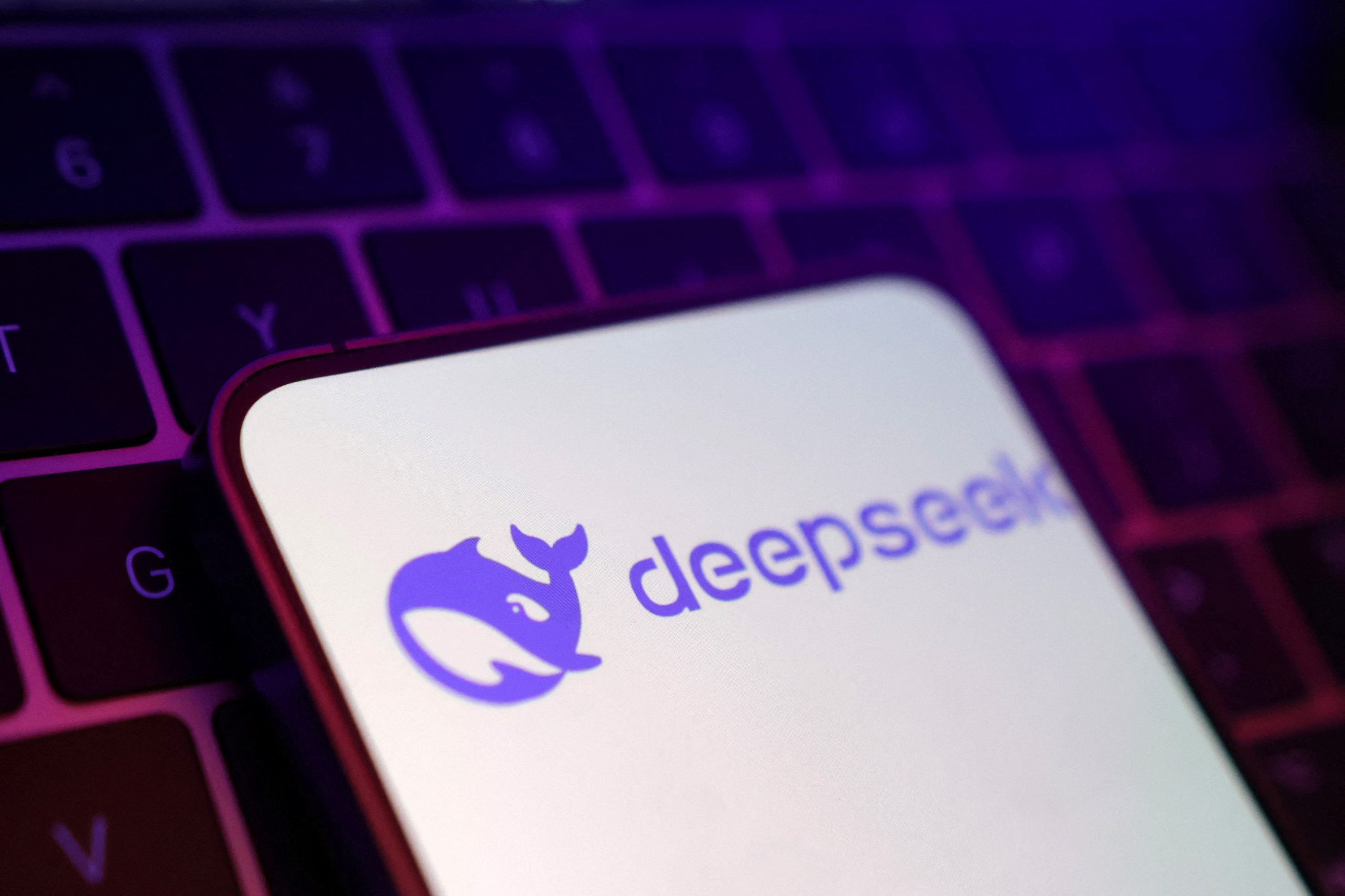 Deepseek logo is seen in this illustration taken January 27, 2025.