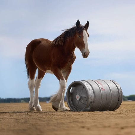 In the Super Bowl commercial entitled 