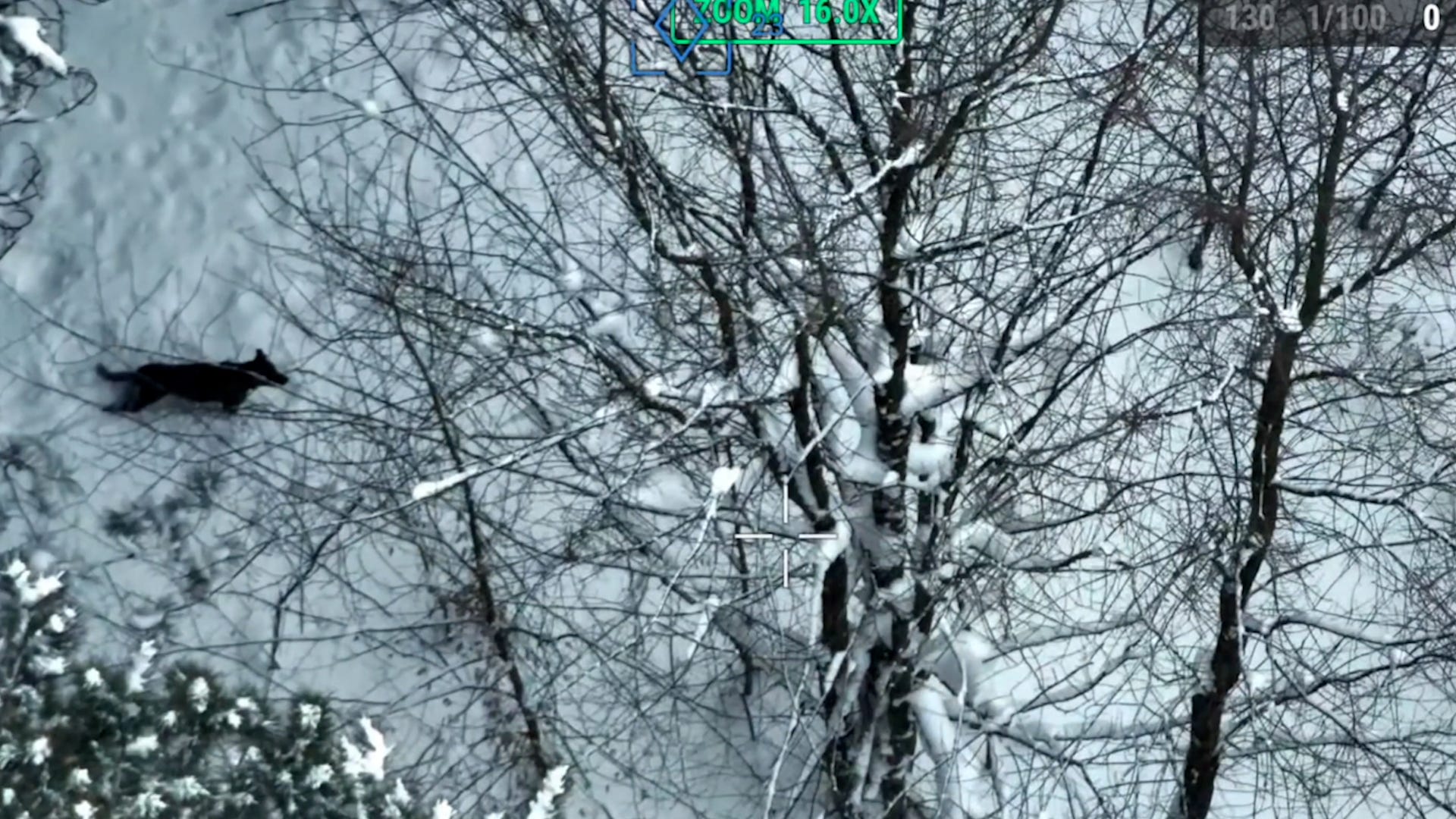 North Country Drone Search & Recovery via Storyful