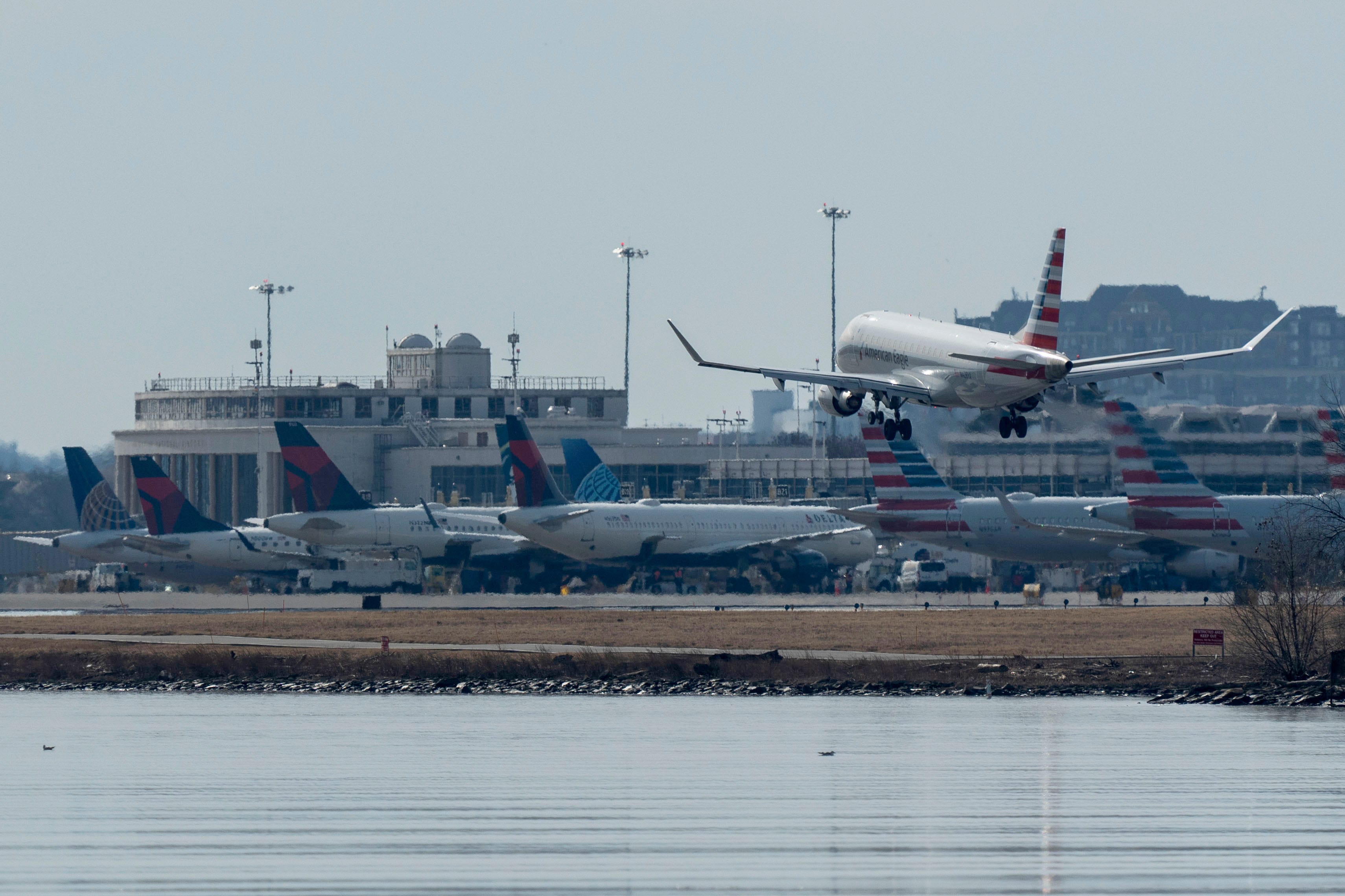 An American Eagle airplane lands at Ronald Reagan Washington National Airport on Thursday, Jan. 30, 2025 after the airport reopened following the crash between a passenger jet with 64 people aboard and an Army Black Hawk helicopter in Arlington, Virginia.