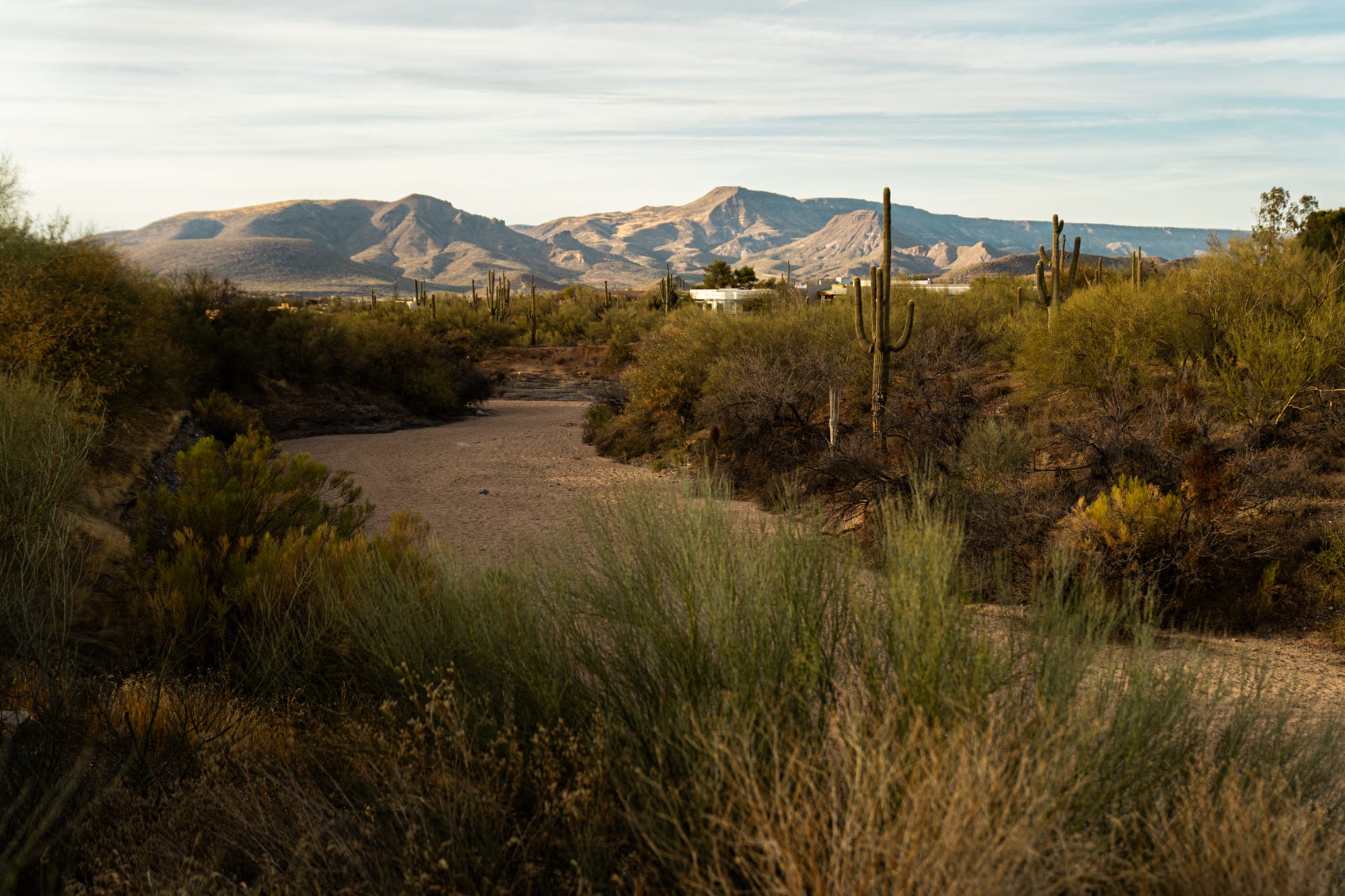 2 pedestrians hospitalized in Cave Creek wrong-way crash