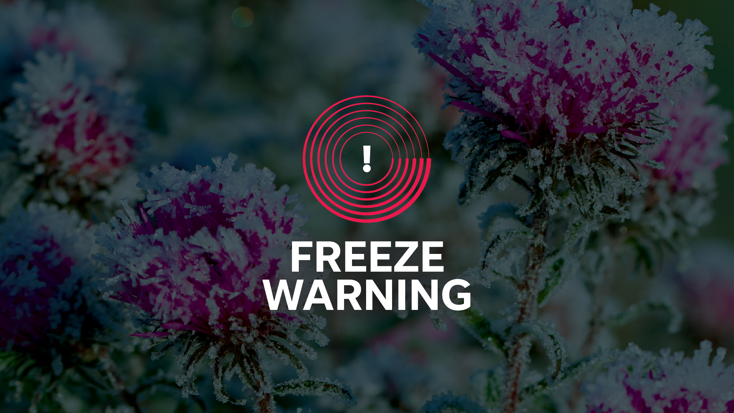 Graphic indicating a freeze warning