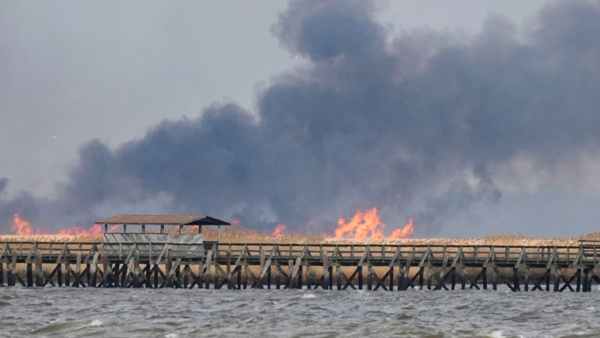 Delaware has the worst air quality in the country from NJ wildfire Delaware has the worst air quality in the country from NJ wildfire