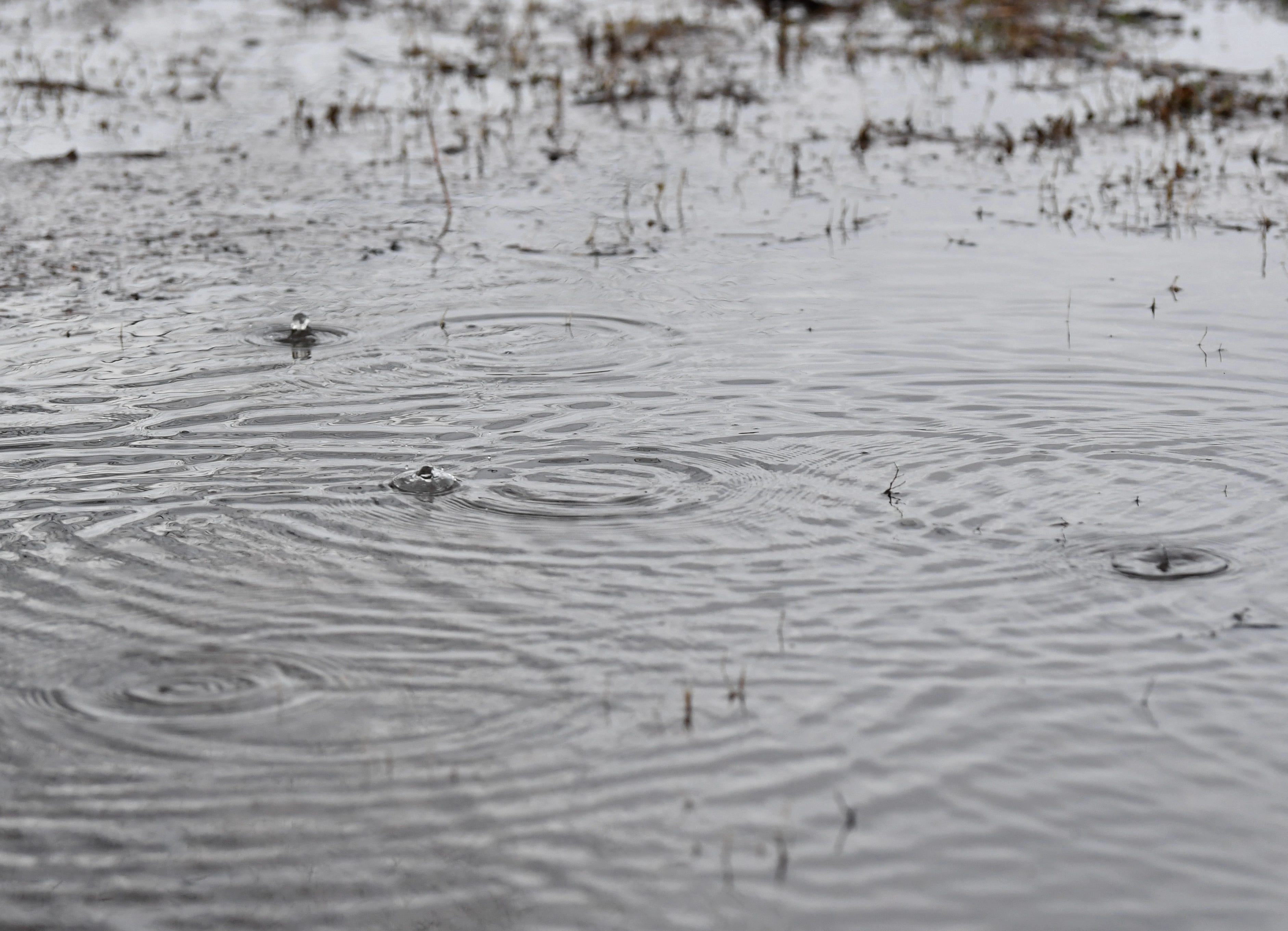 How Lafayette homeowners can protect homes this hurricane season
