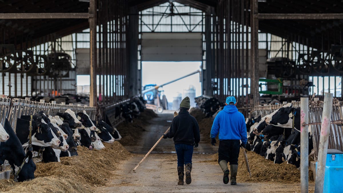 Wisconsin’s top industries rely on immigrant labor and call for reform of ‘broken’ system Wisconsin’s top industries rely on immigrant labor and call for reform of ‘broken’ system