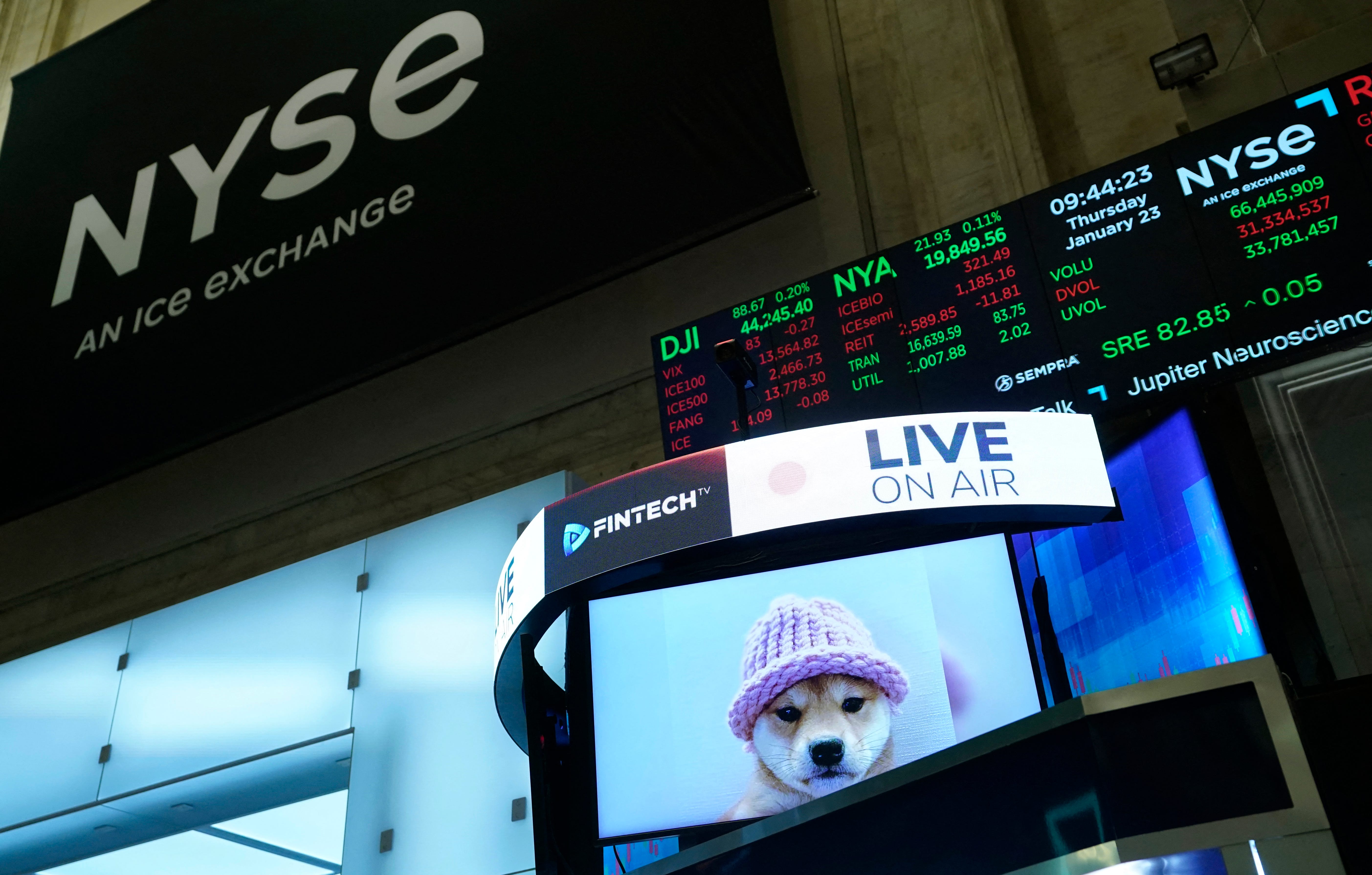 Achi (the dog from the famous dogwifhat meme) is seen at the opening bell of the New York Stock Exchange in New York, on January 23, 2025. Dogwifhat (WIF) is a Solana-based dog-themed memecoin that was launched in November 2023. It features a Shiba Inu wearing a knitted hat as its mascot. (Photo by TIMOTHY A. CLARY / AFP) (Photo by TIMOTHY A. CLARY/AFP via Getty Images)