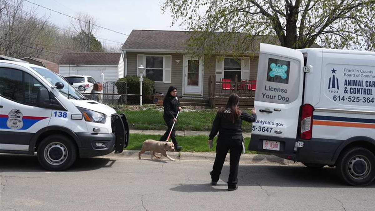 Polizei: Kind aus Columbus bei Hundeangriff auf der Far South Side getötet